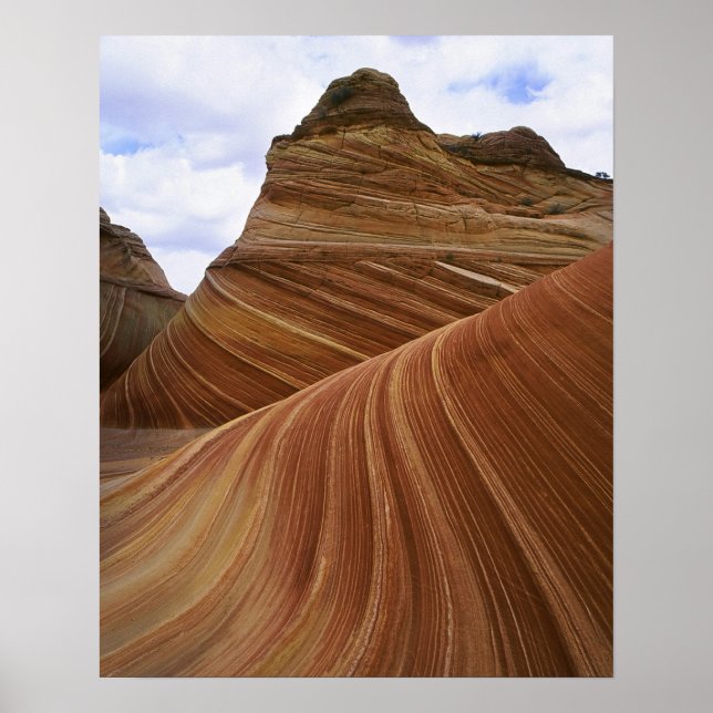 The Crest Poster (Front)