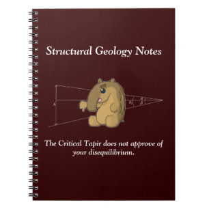 The Critical Tapir Does Not Approve Notebook