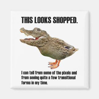 The Crocoduck Deception Magnet