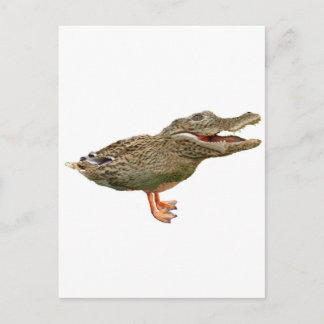 The Crocoduck with feet Postcard