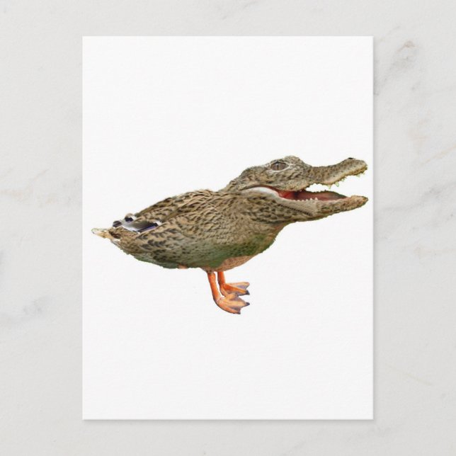 The Crocoduck with feet Postcard (Front)