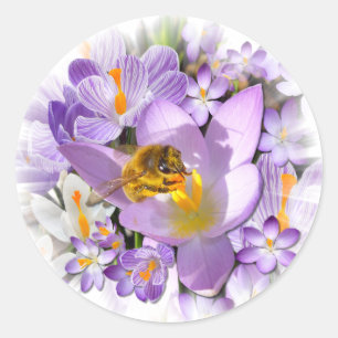 THE CROCUS TASTER ~ Envelope Sealers/Stickers Classic Round Sticker