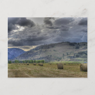 The Crop is in. Post Card from Midway B.C.