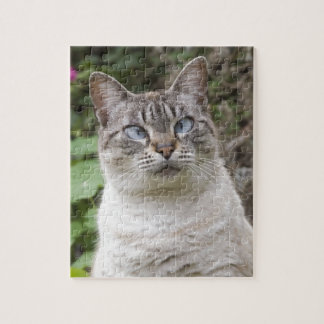 The cross eyed cat jigsaw puzzle