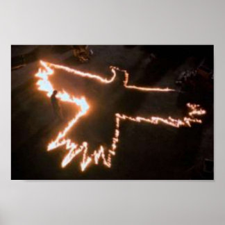 THE CROW  Fire Bird Poster