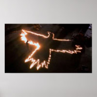 THE CROW Fire Bird