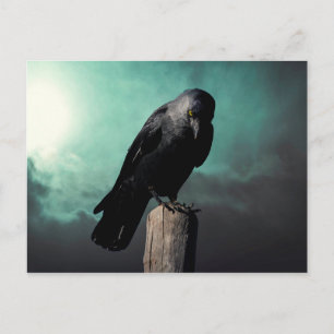 The crow postcard