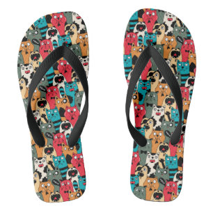 The crowd of cats jandals