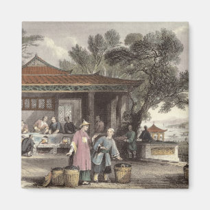 The Culture and Preparation of Tea, from 'China in Magnet