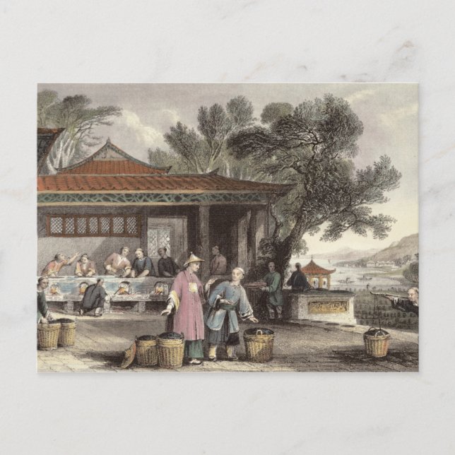 The Culture and Preparation of Tea, from 'China in Postcard (Front)