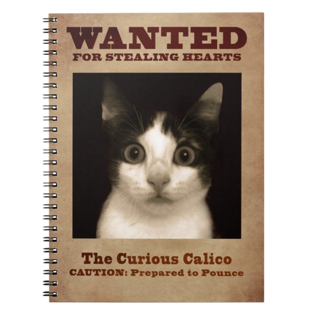 The Curious Calico Kitten Notebook (Front)