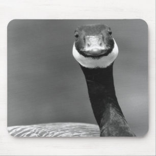 The Curious Goose Mousepad