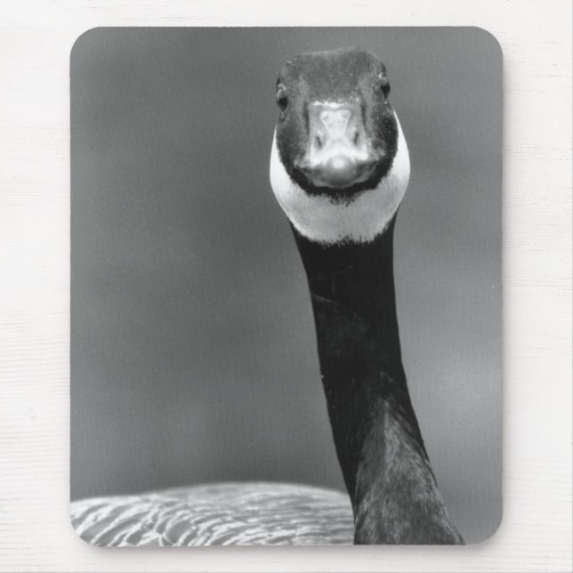 The Curious Goose Mousepad (Front)