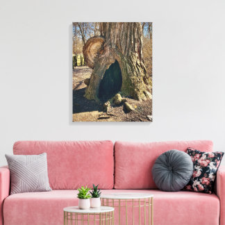 The Curious Hollow 16x20 Canvas Print