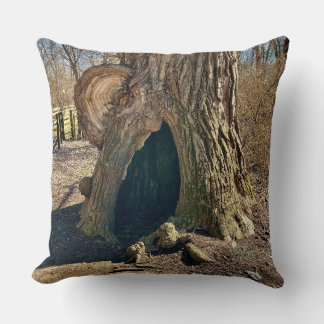 The Curious Hollow  Cushion