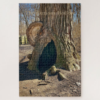 The Curious Hollow  Jigsaw Puzzle