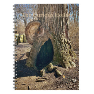 The Curious Hollow Notebook
