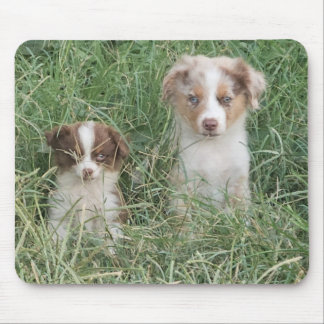 The Cuteness Never Stops Mouse Pad