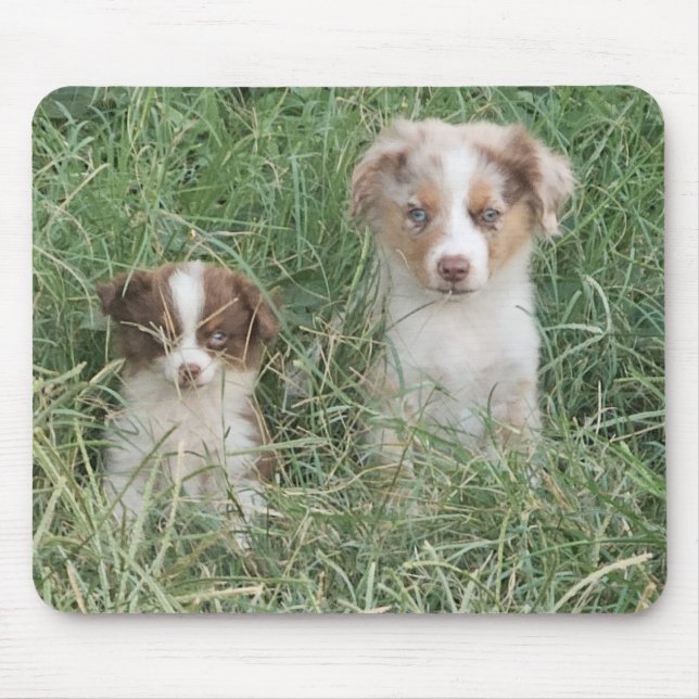 The Cuteness Never Stops Mouse Pad (Front)