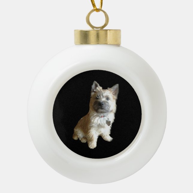 The Cutest Cairn Terrier Ever!  Cuter than Toto! Ceramic Ball Christmas Ornament (Front)