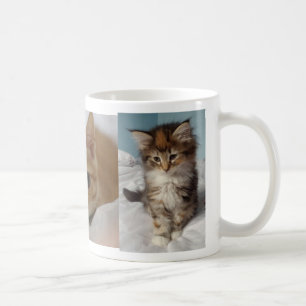 The cutest cup