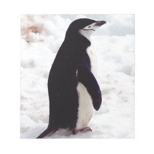 The Cutest Penguin, Ever Notepad