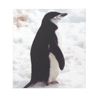 The Cutest Penguin, Ever Notepad