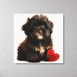 The Cutest Valentine, Chocolate Havanese Puppy Canvas Print