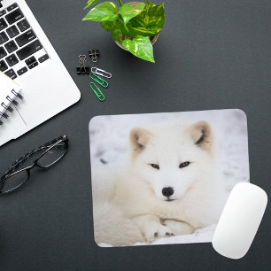 The cutest white polar fox looking at you mouse pad