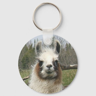 THE DAILY LLAMA KEY RING