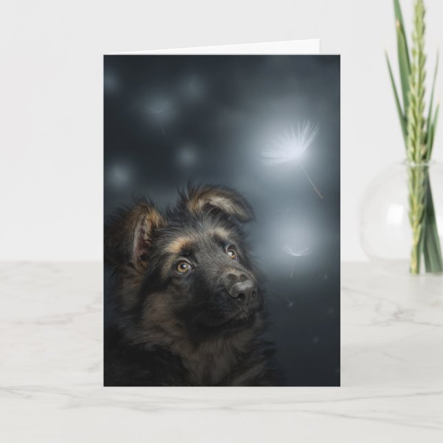 The dandelion German shepherd Folded Greeting Card (Front)