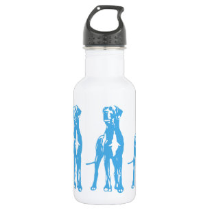 The Dane 532 Ml Water Bottle