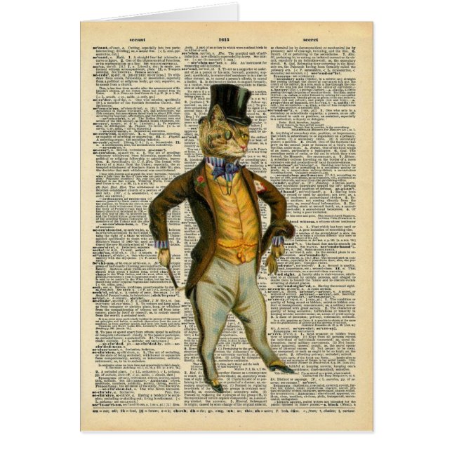 The dapper cat (Front)