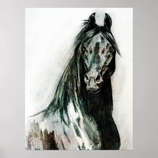 The Dark Beauty Poster (Front)