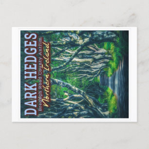 THE DARK HEDGES BEECH TREES - NORTHERN IRELAND POSTCARD