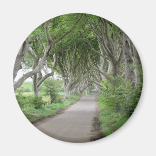 The Dark Hedges Magnet