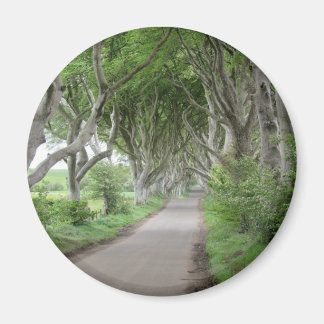 The Dark Hedges Magnet
