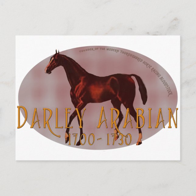 The Darley Arabian Postcard (Front)