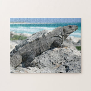 The Day Of The Iguana Jigsaw Puzzle