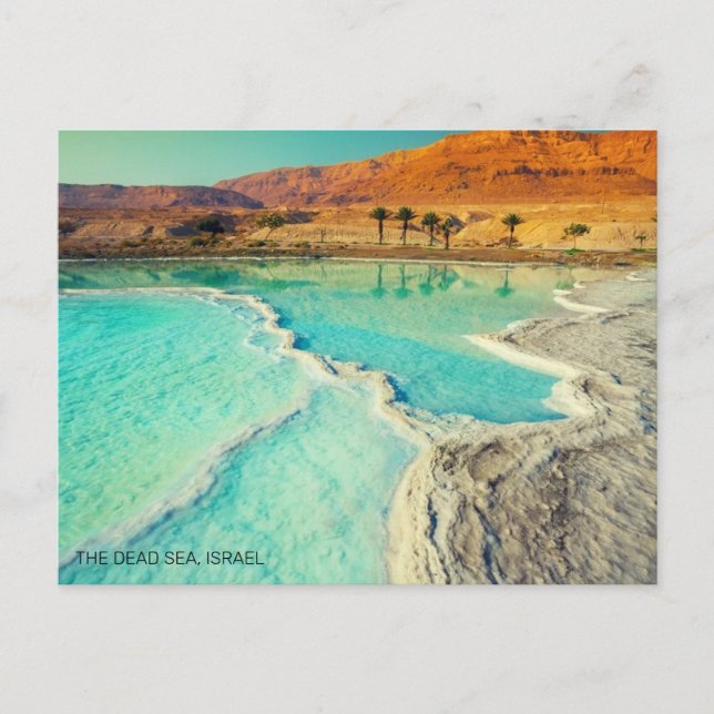 THE DEAD SEA, ISRAEL POSTCARD (Front)