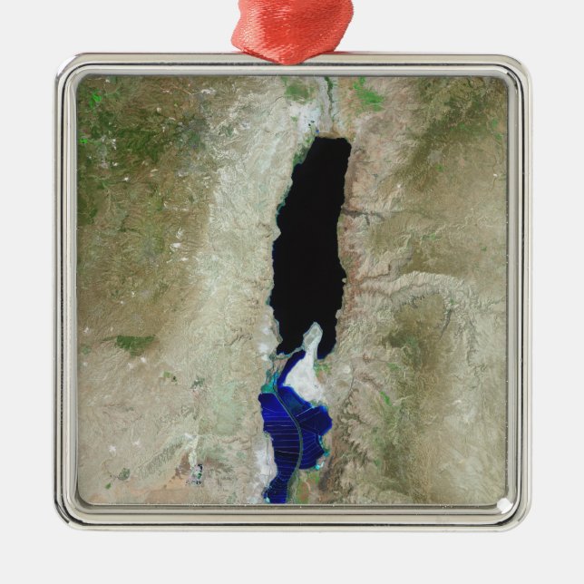 The Dead Sea Metal Tree Decoration (Front)
