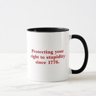 The Declaration of Independence is important Mug