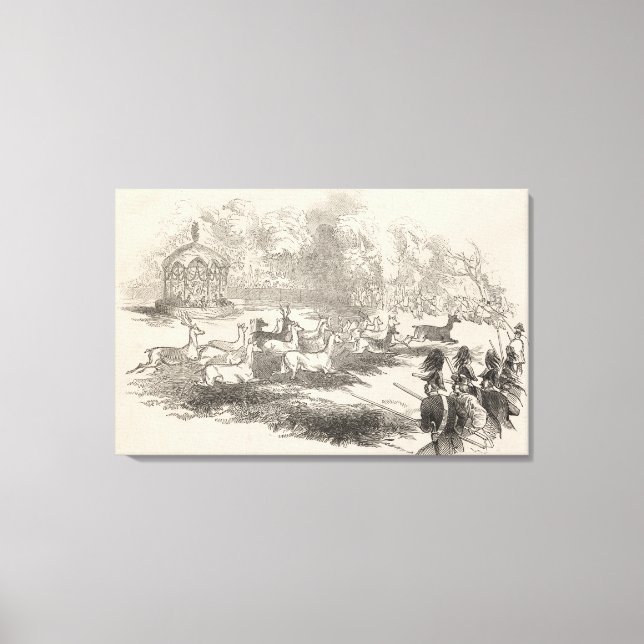 The Deer Shooting at Gotha Canvas Print (Front)