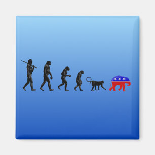 The Democratic Theory of Devolution Magnet