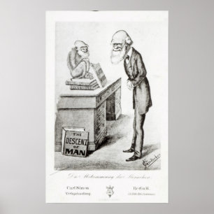 The Descent of Man Poster