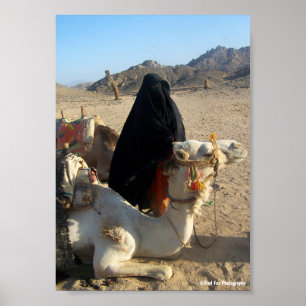 The Desert's Daughter Poster