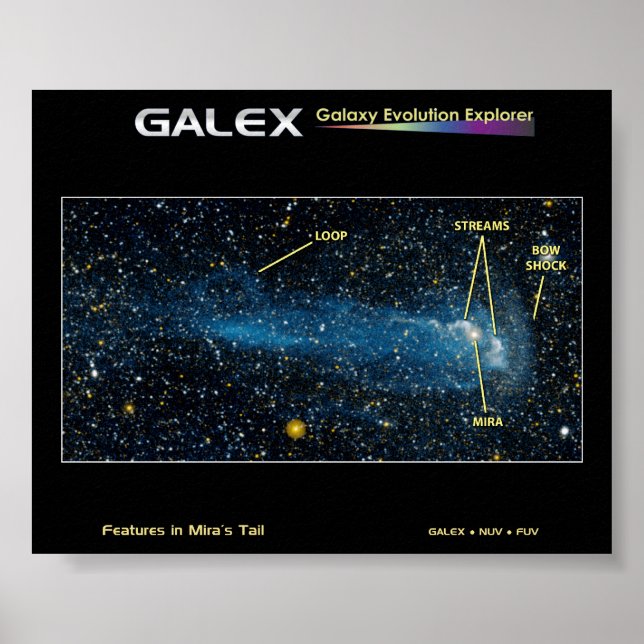 The Detailed Star Mira with Tail Poster (Front)