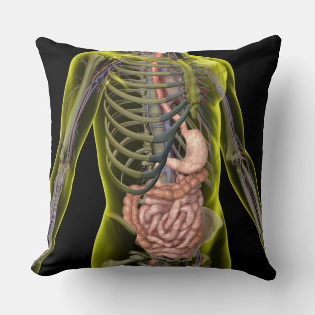 The Digestive System Cushion (Front)