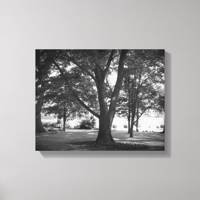 The Dillard Tree Canvas Print (Front)