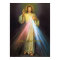 THE DIVINE MERCY